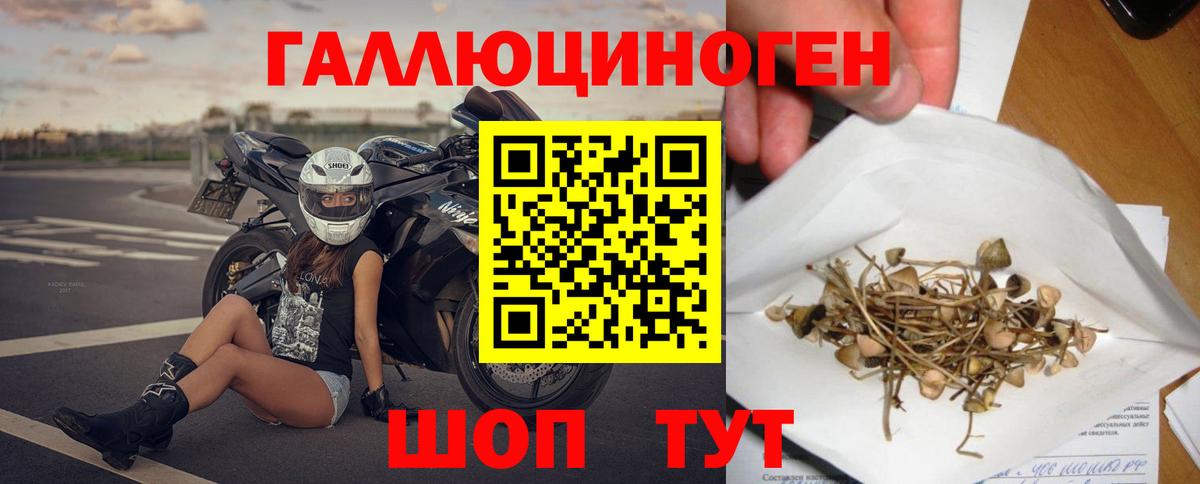 Псилоцибиновые грибы Psilocybine cubensis  Вход с VPN  Заволжье  дарнет шоп  Галлюциногенные грибы мицелий 